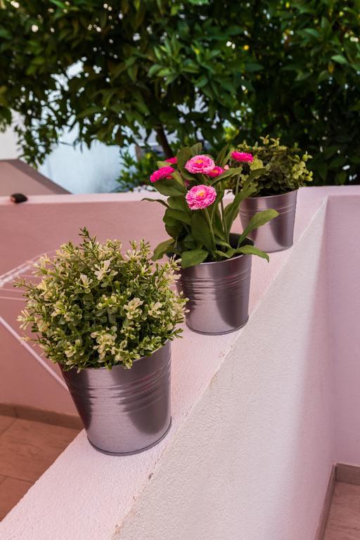 Apartments Elizabeth Biograd Na Moru Εξωτερικό φωτογραφία